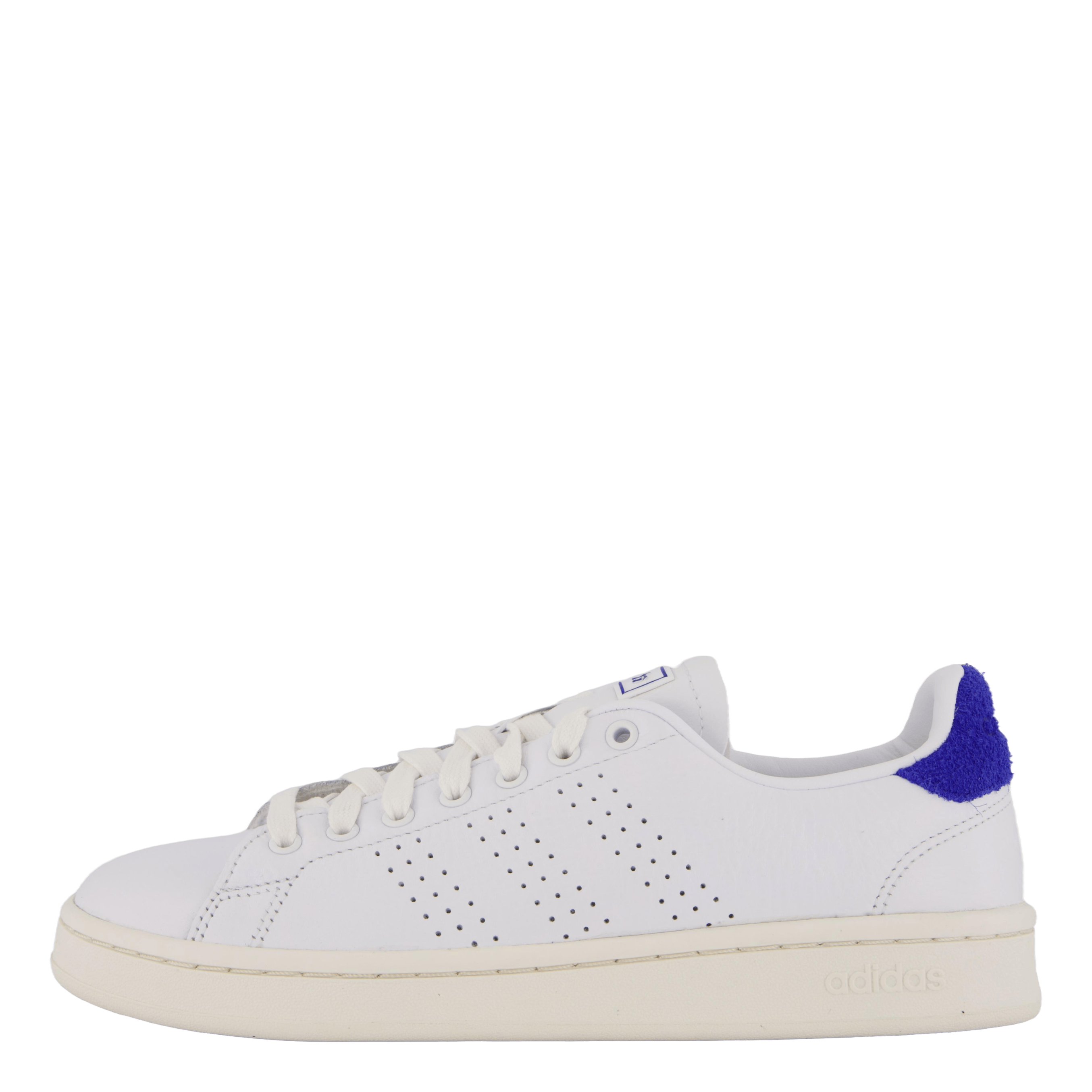 Adidas advantage blue on sale