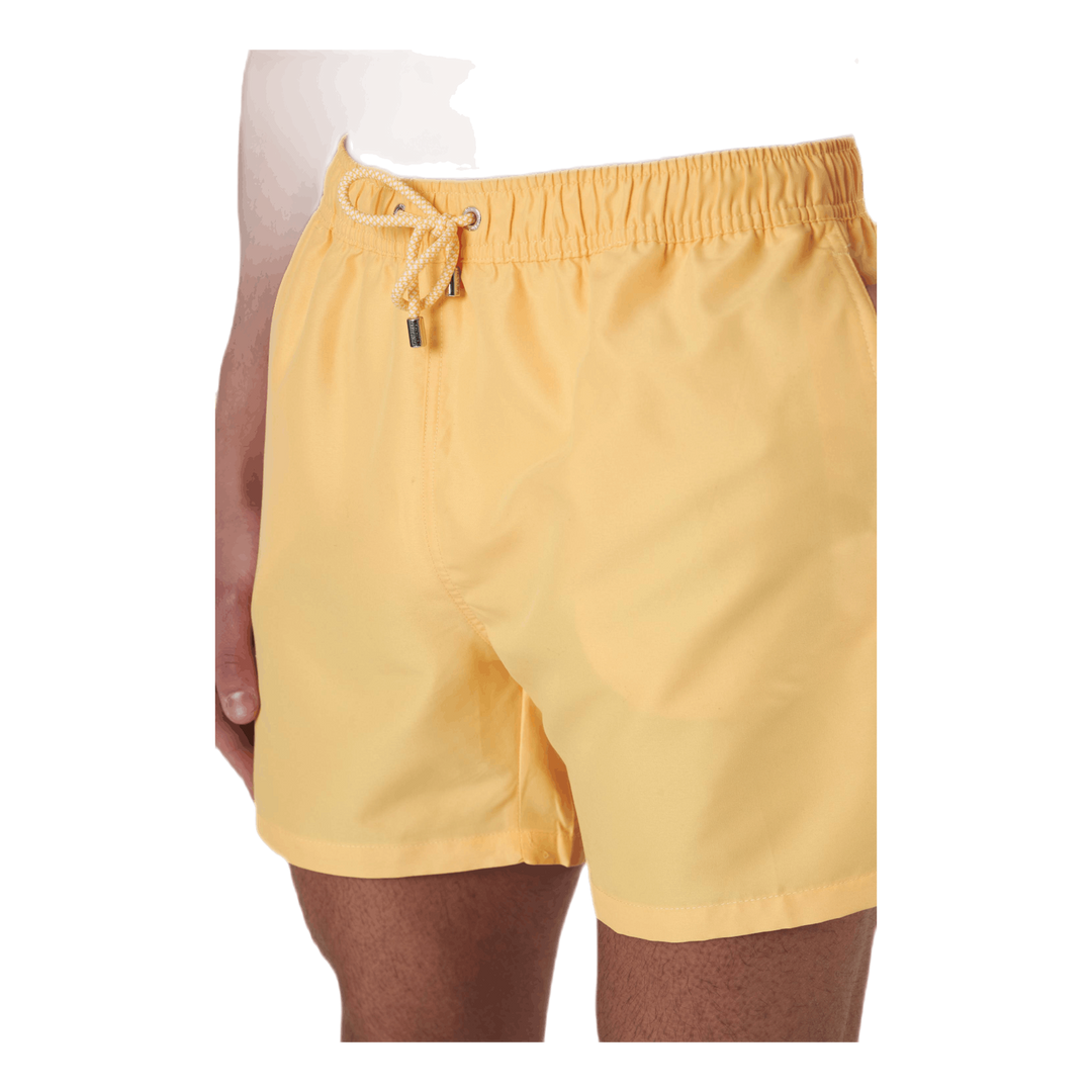 Classic Solid Yellow