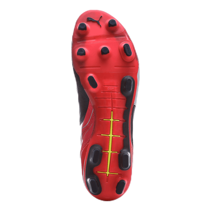 EvoPower 1.2 Leather FG Purple