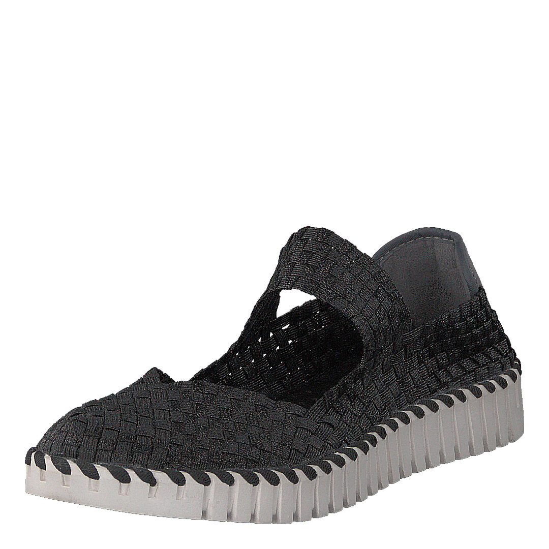 Alegra Met Black