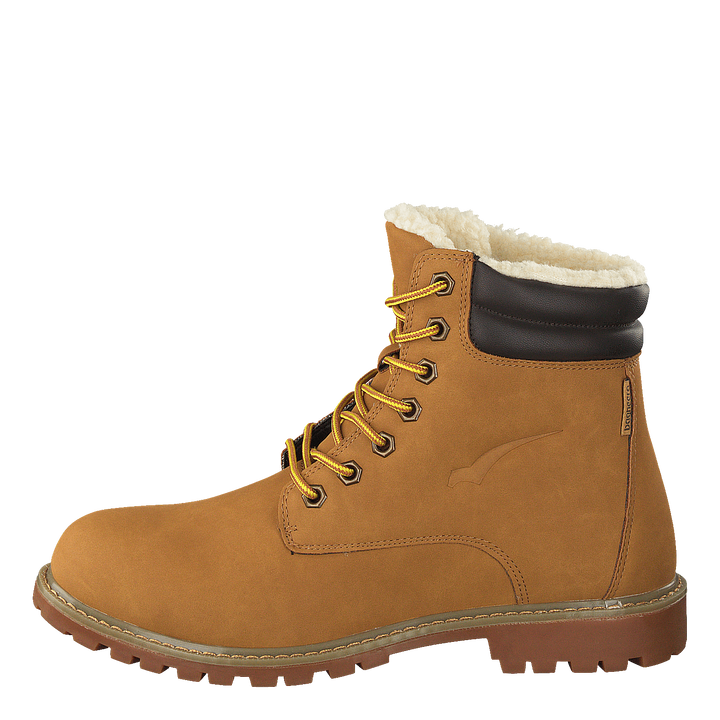 Creed Dark Yellow