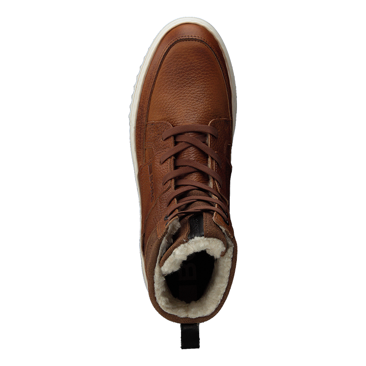 Collin Hgh Tmb M Tan