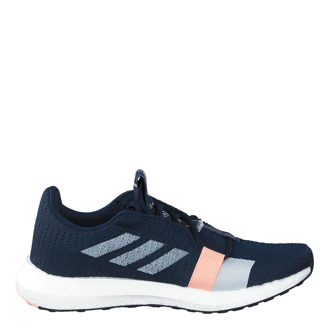 Senseboost Go Shoes Collegiate Navy / Cloud White / Glow Pink