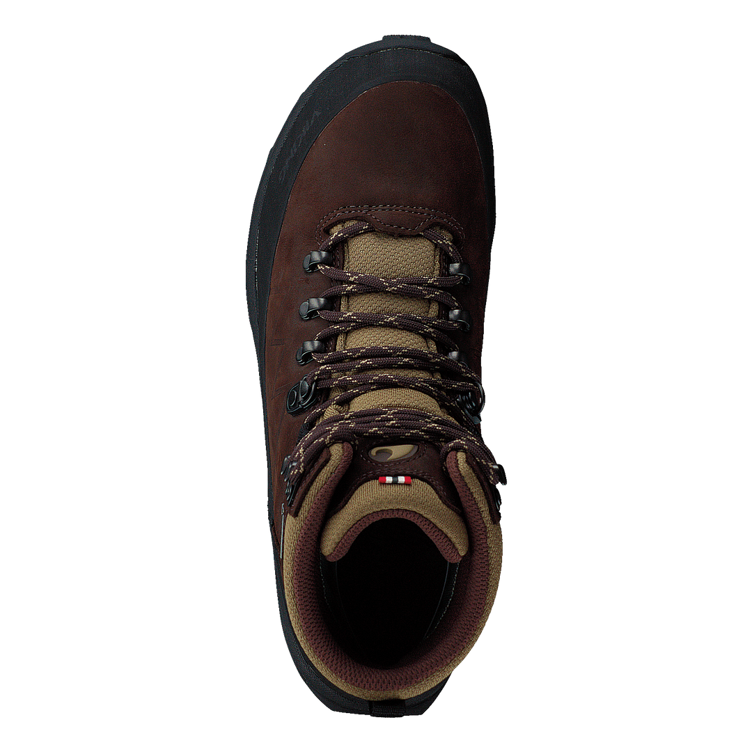 Lofoten Gtx Brown