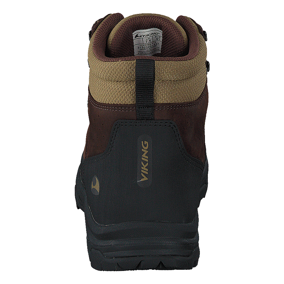 Lofoten Gtx Brown