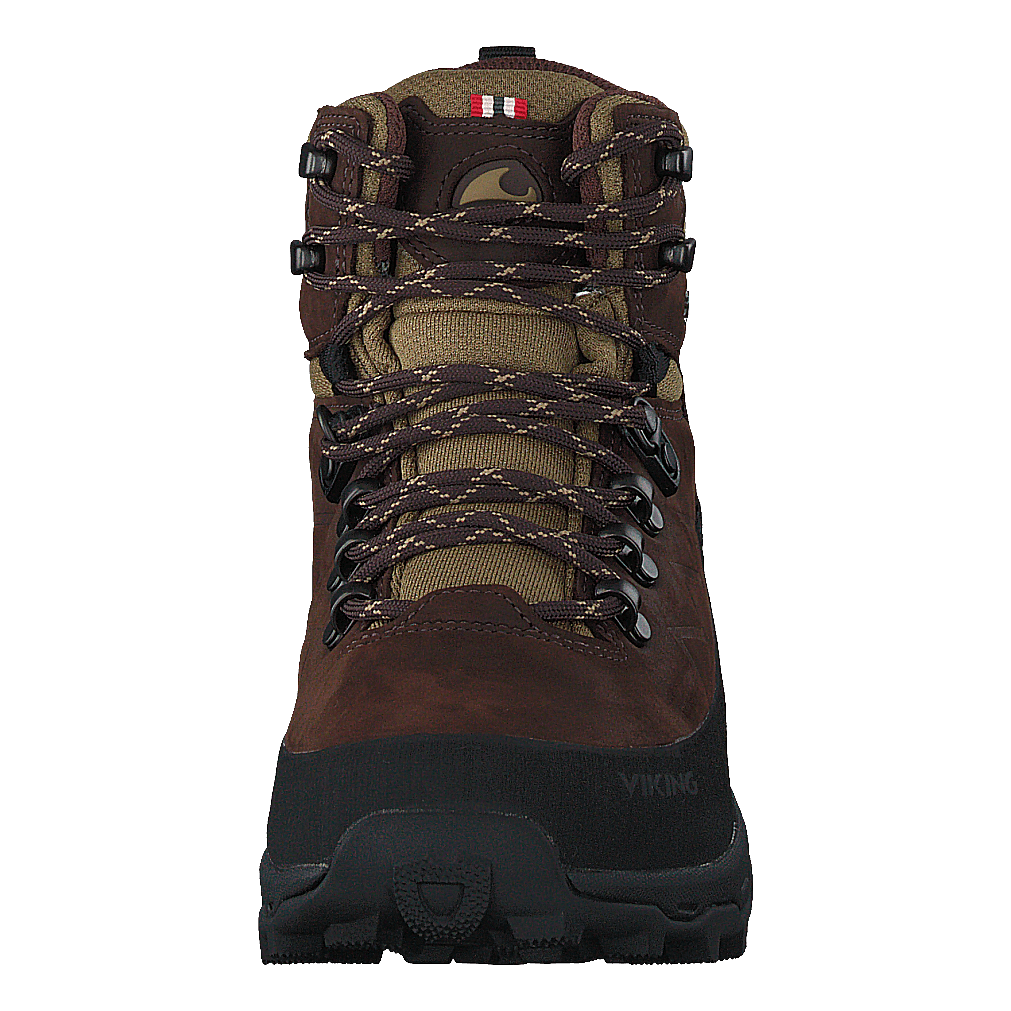 Lofoten Gtx Brown