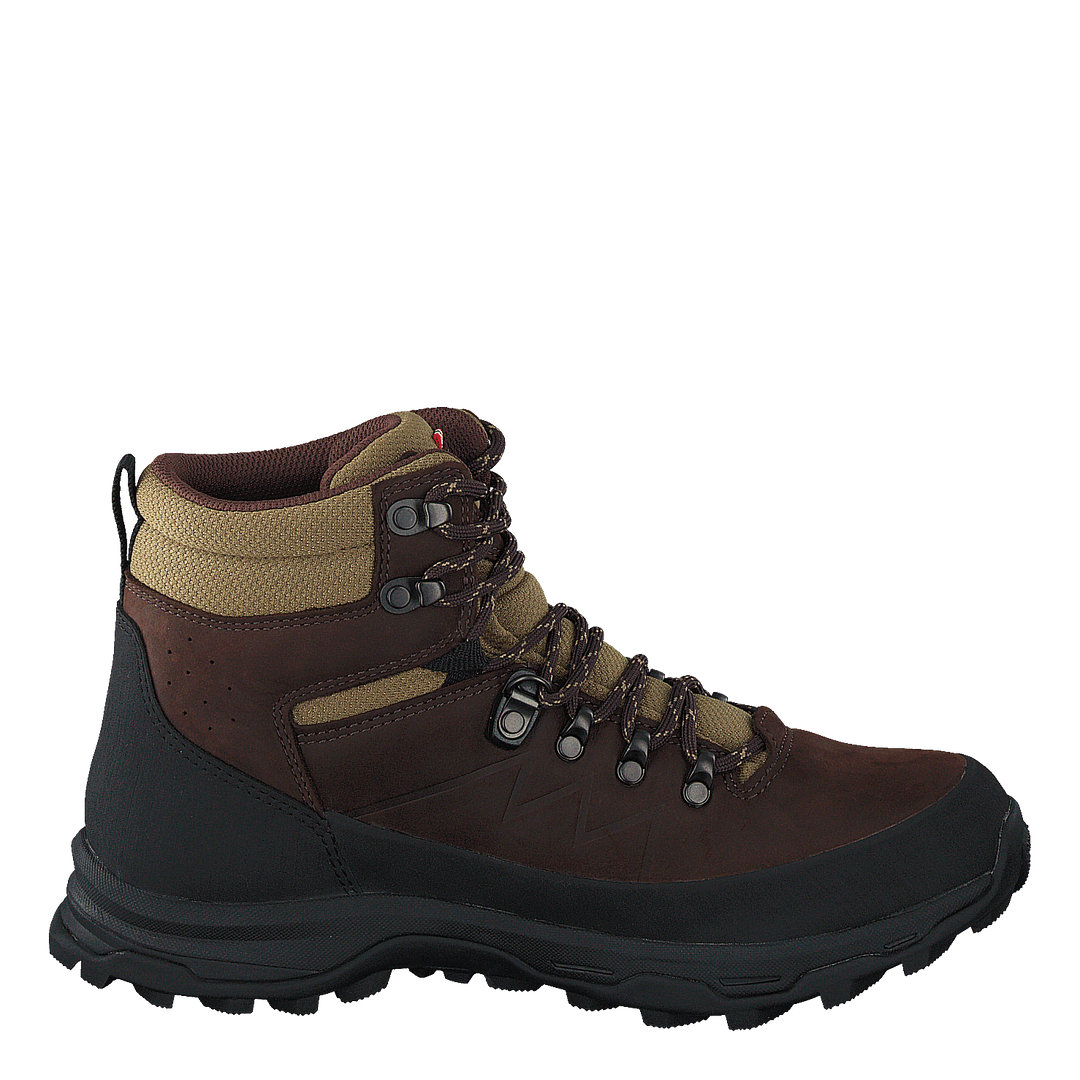 Lofoten Gtx Brown