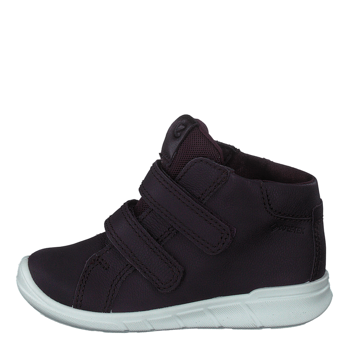 Ecco First Fig (Dark Purple)