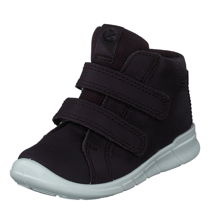 Ecco First Fig (Dark Purple)