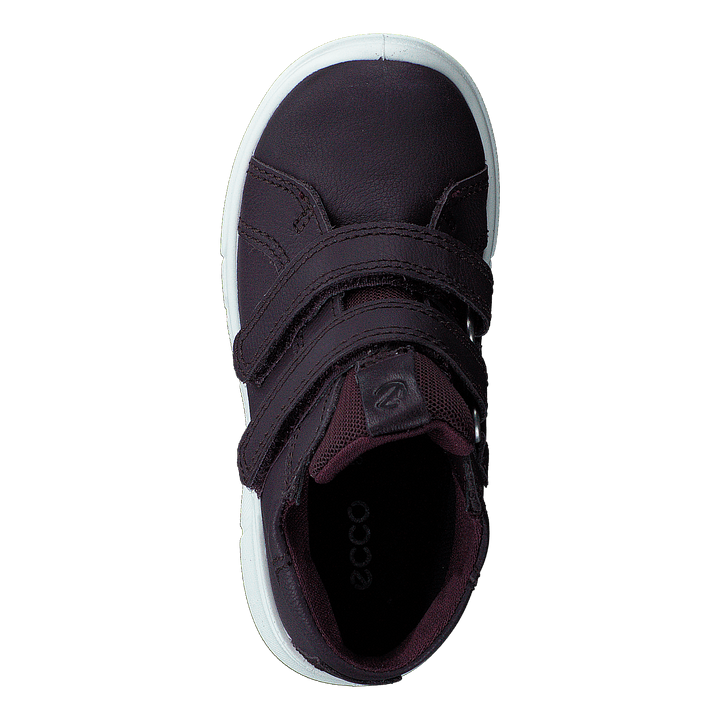 Ecco First Fig (Dark Purple)