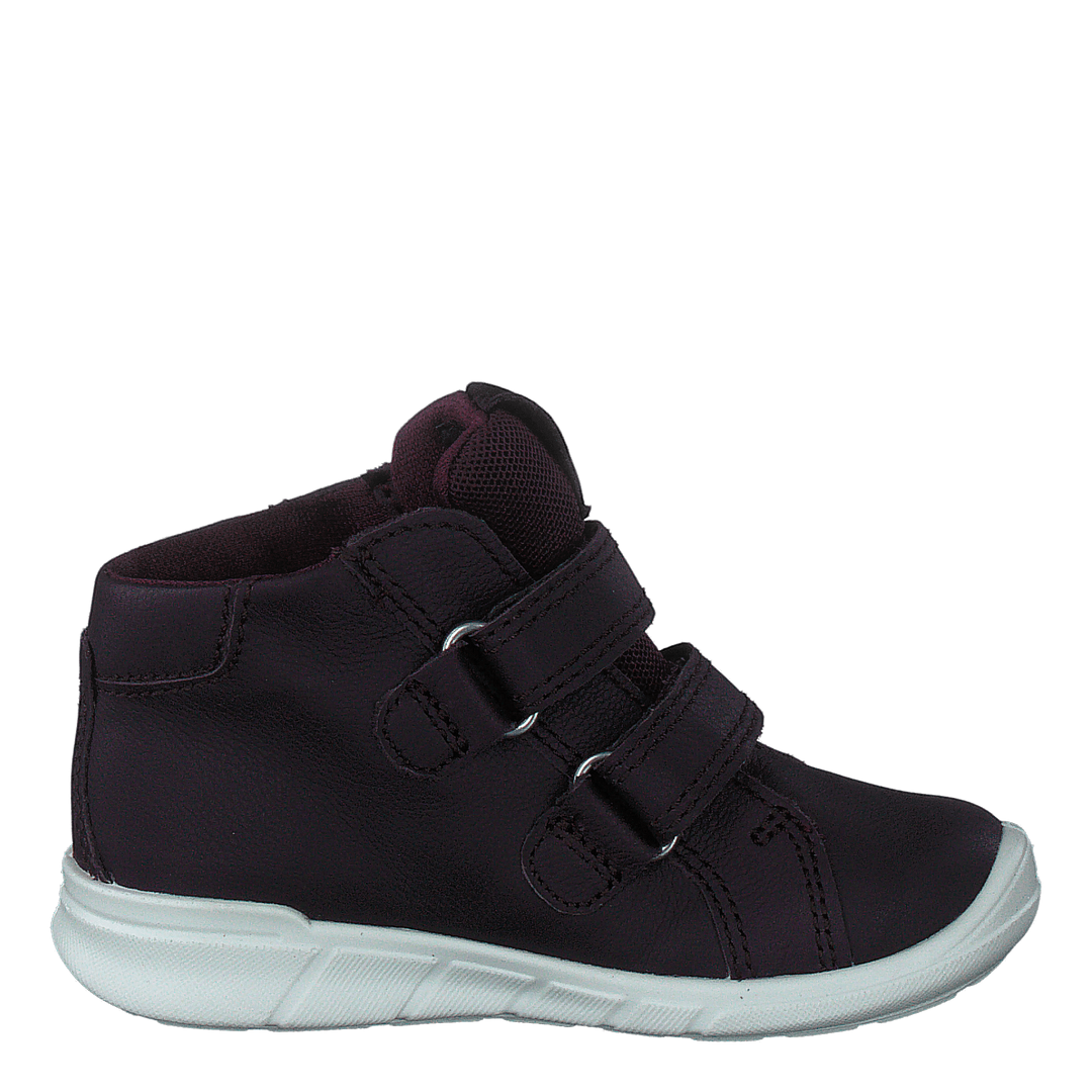 Ecco First Fig (Dark Purple)