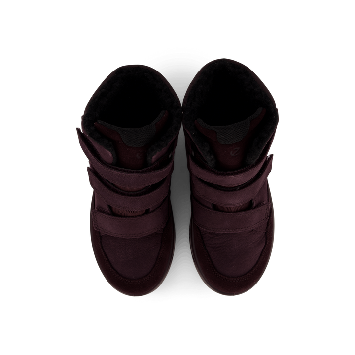 Ecco Urban Snowboarder Fig/fig/fig