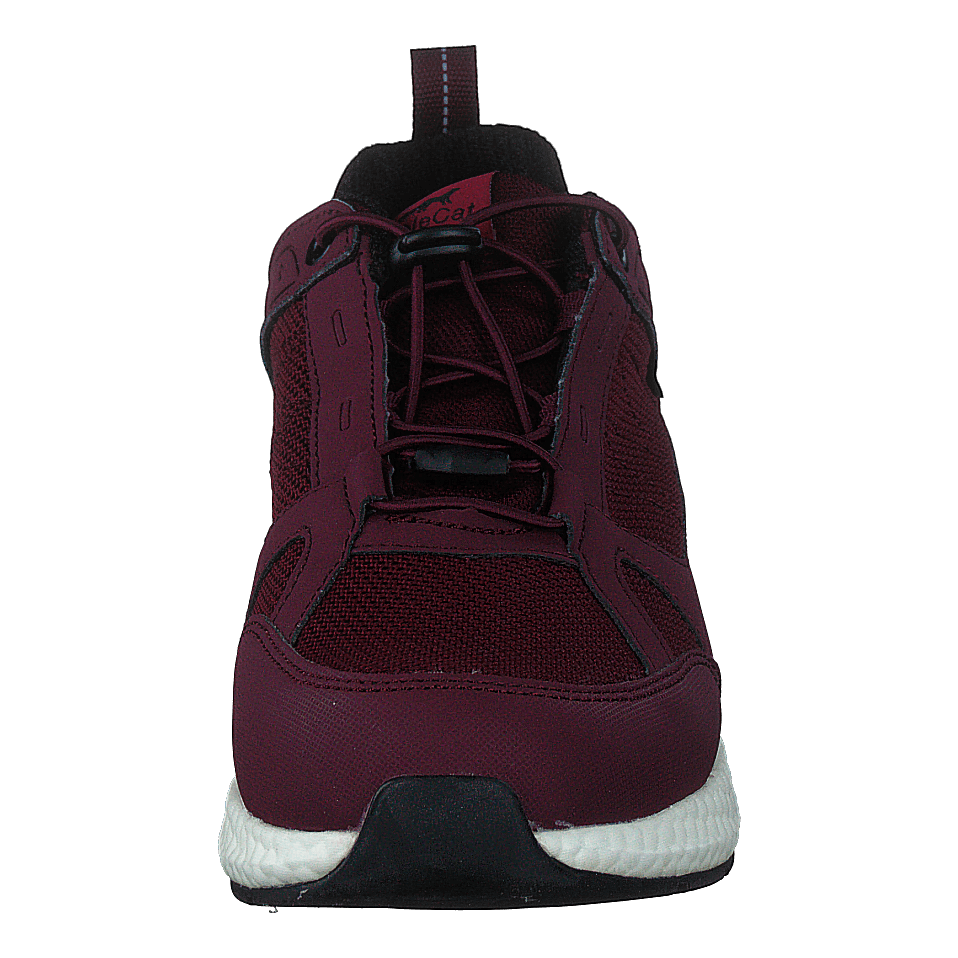 Orbit Smooth Gtx Bordo