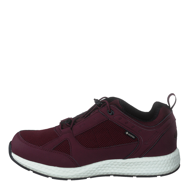 Orbit Smooth Gtx Bordo