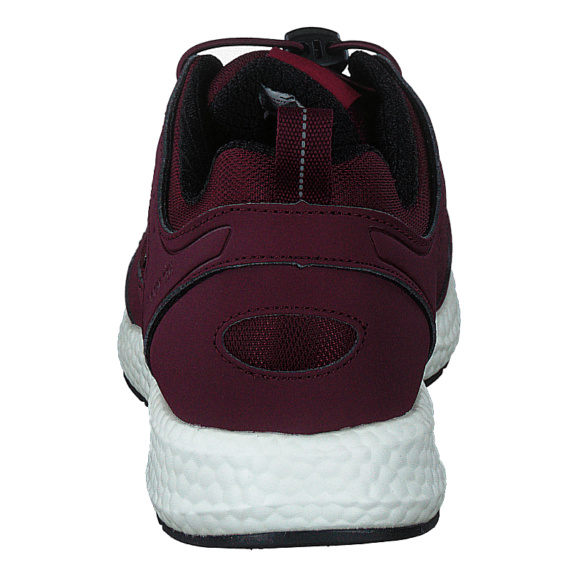 Orbit Smooth Gtx Bordo