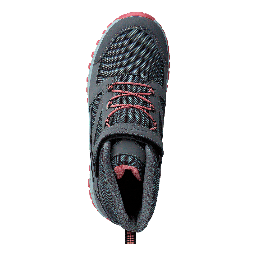 Guard Tiger Gtx Grey