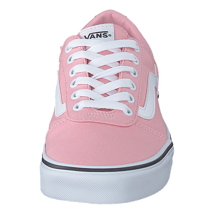 Wm Ward (canvas) Powder Pink/white