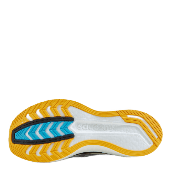 Endorphin Pro 2 Reverie