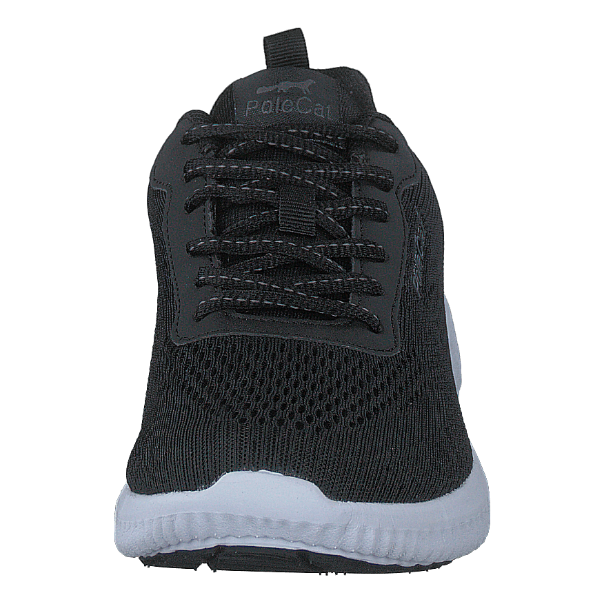 Credo Iowa Black