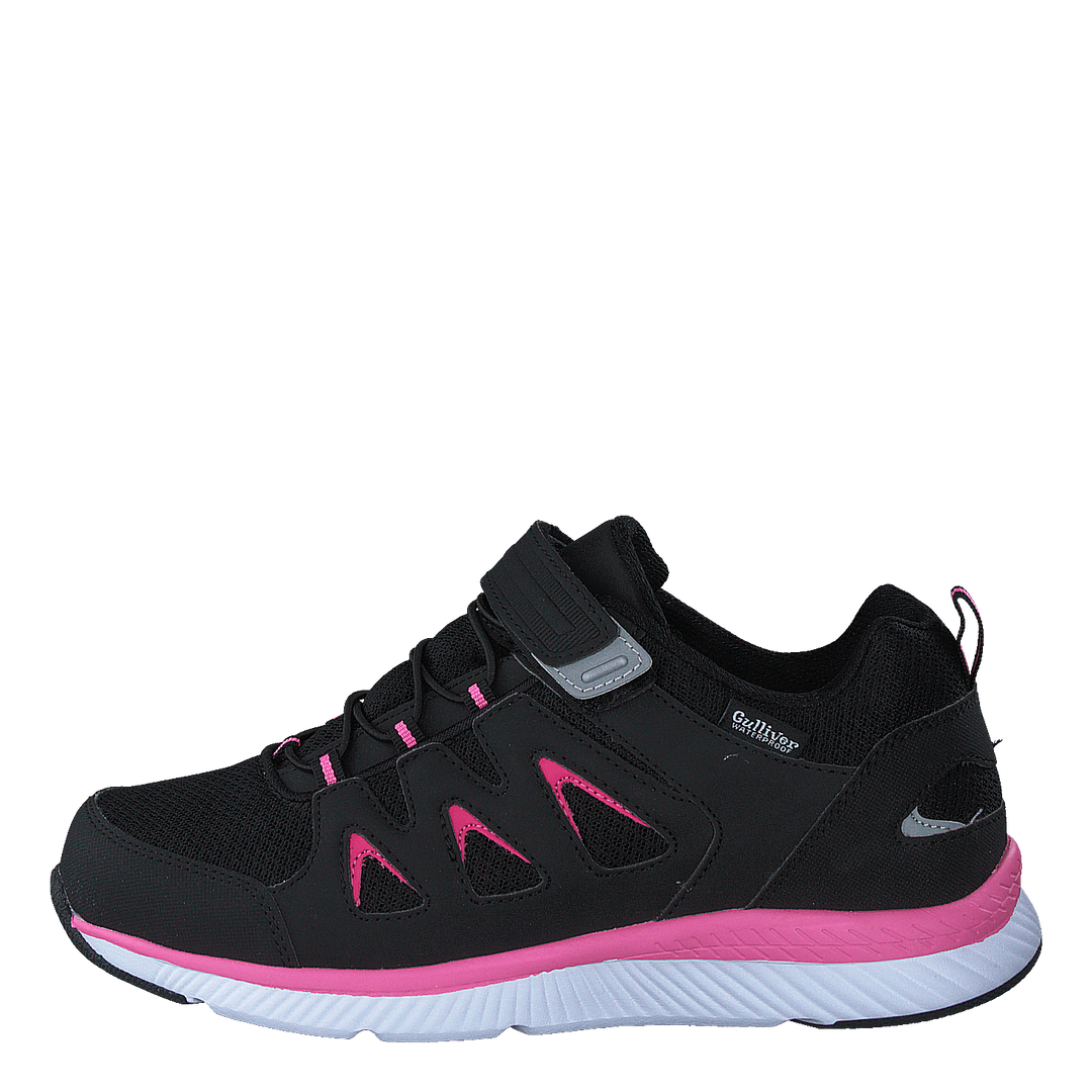 443-0121 Black/fuchsia