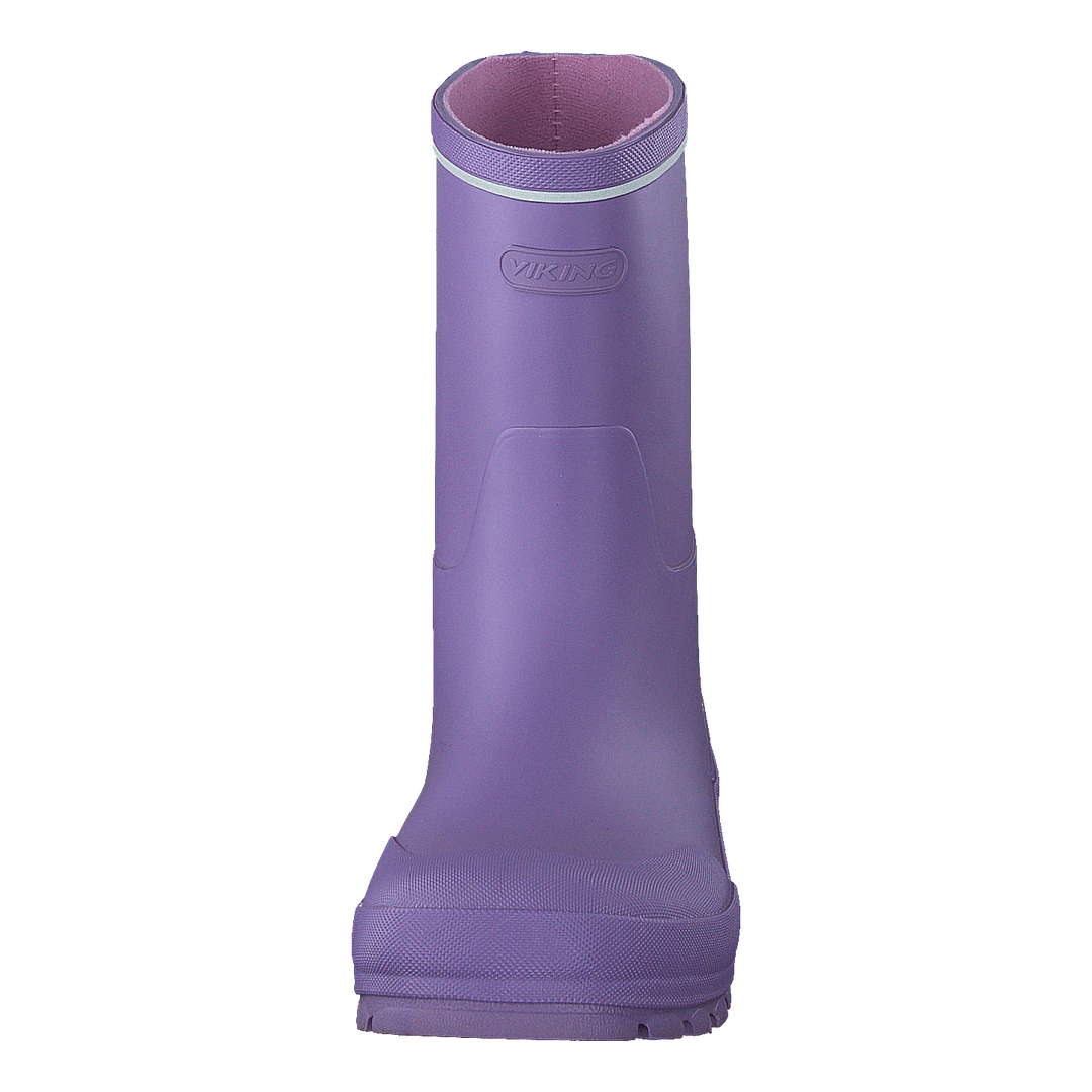 Jolly Violet