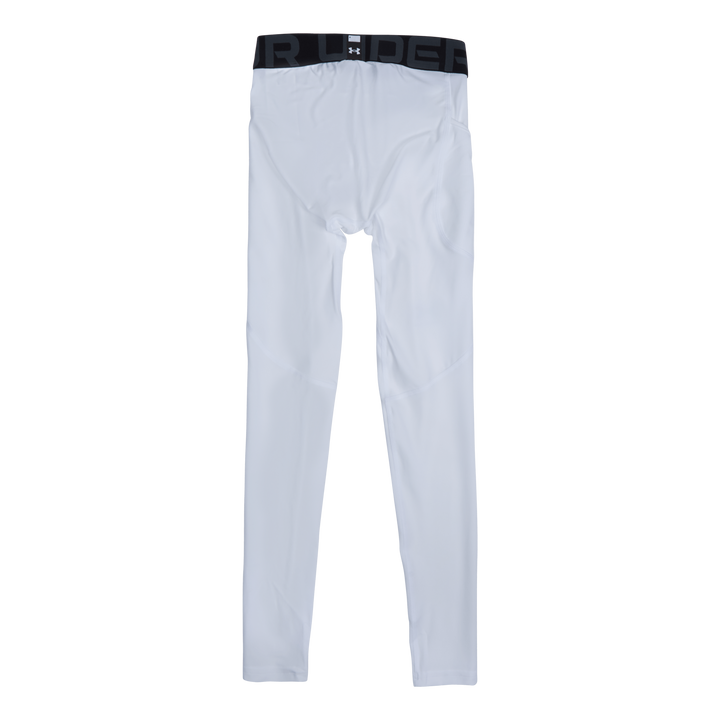 UA HG Armour Leggings