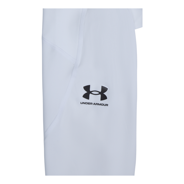 UA HG Armour Leggings