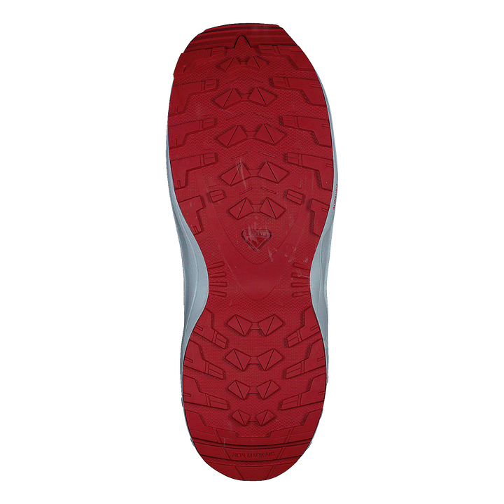 Xa Pro V8 J Stormy Weather/zen Blue/goji B