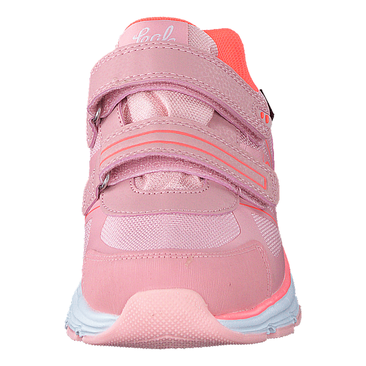 Hamar Coral