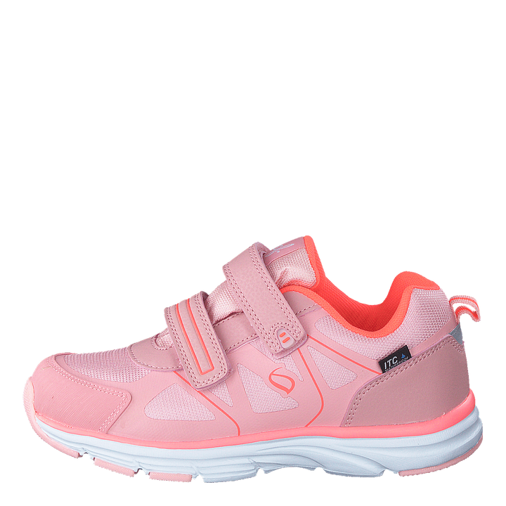 Hamar Coral
