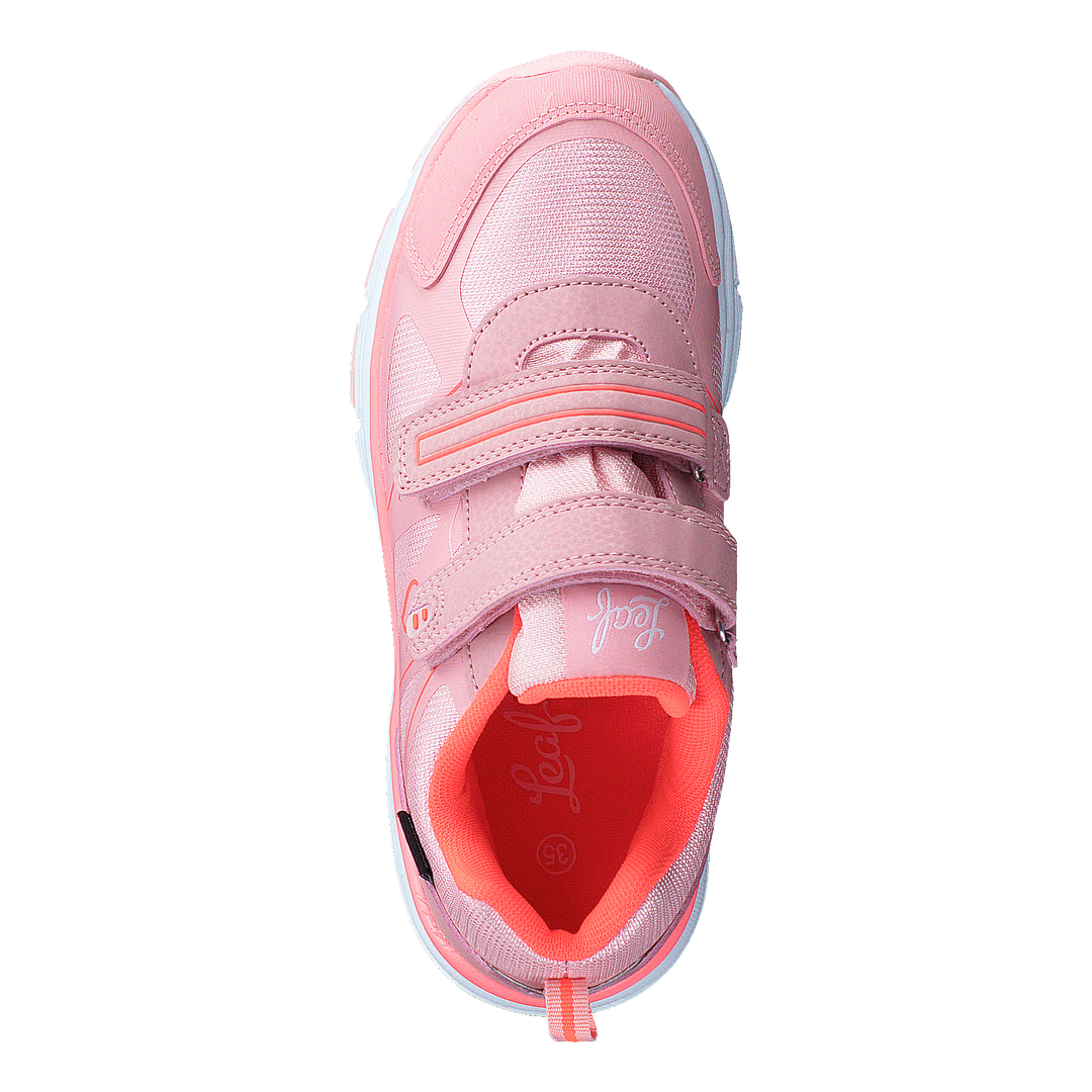 Hamar Coral
