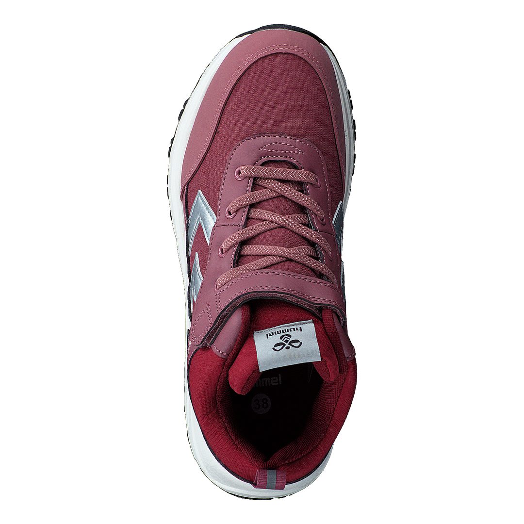 Root Tex Jr Deco Rose