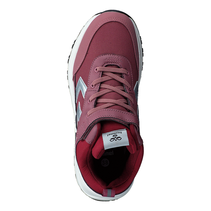 Root Tex Jr Deco Rose