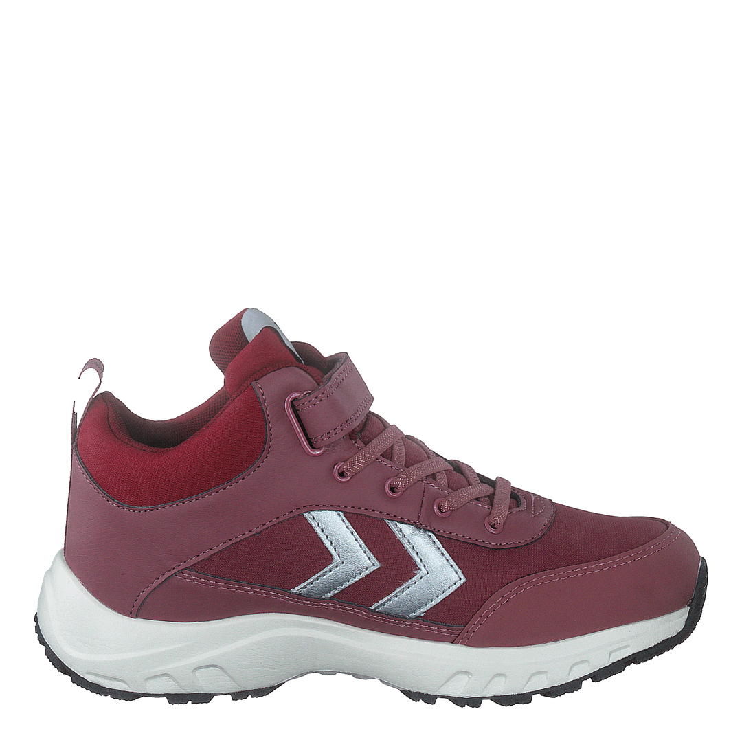 Root Tex Jr Deco Rose