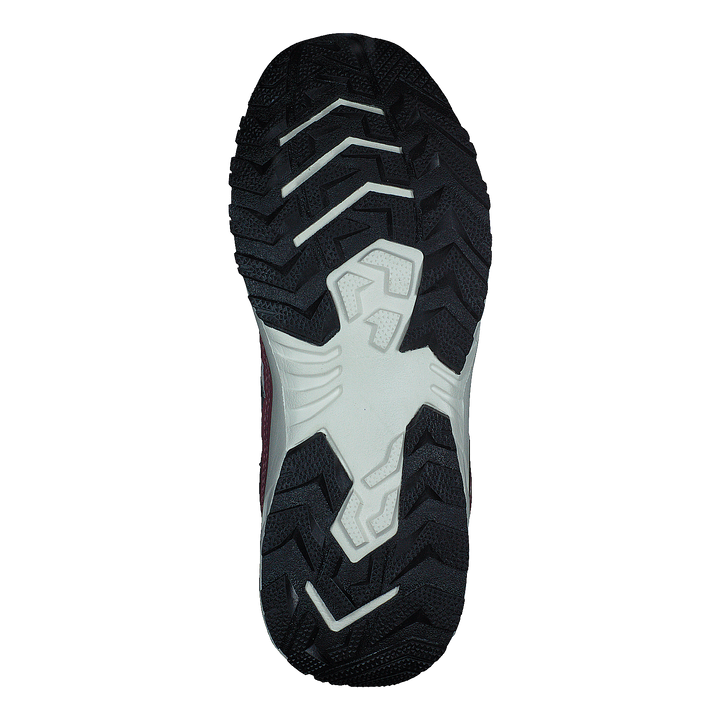 Root Tex Jr Deco Rose