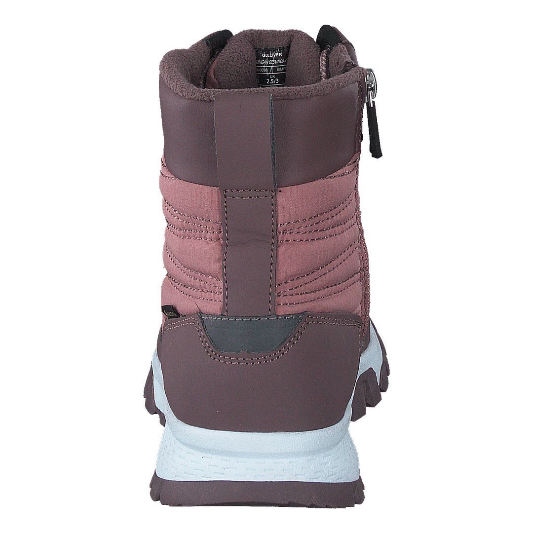 Ljungan Gesunda Gtx Lavender