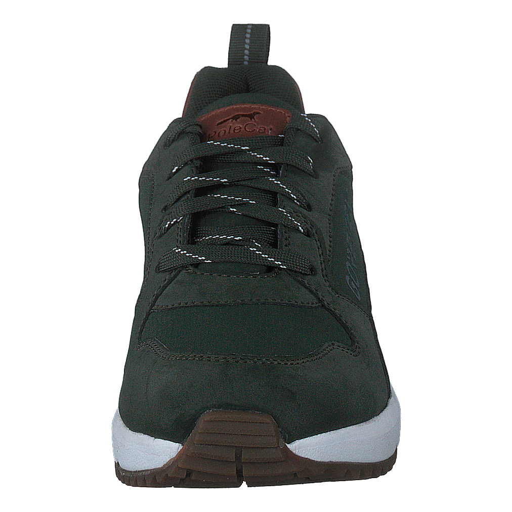 Arena Albertvil Gtx Green