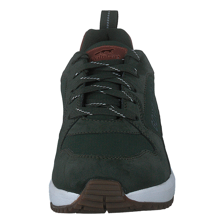 Arena Albertvil Gtx Green