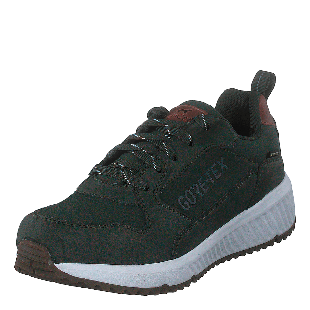 Arena Albertvil Gtx Green