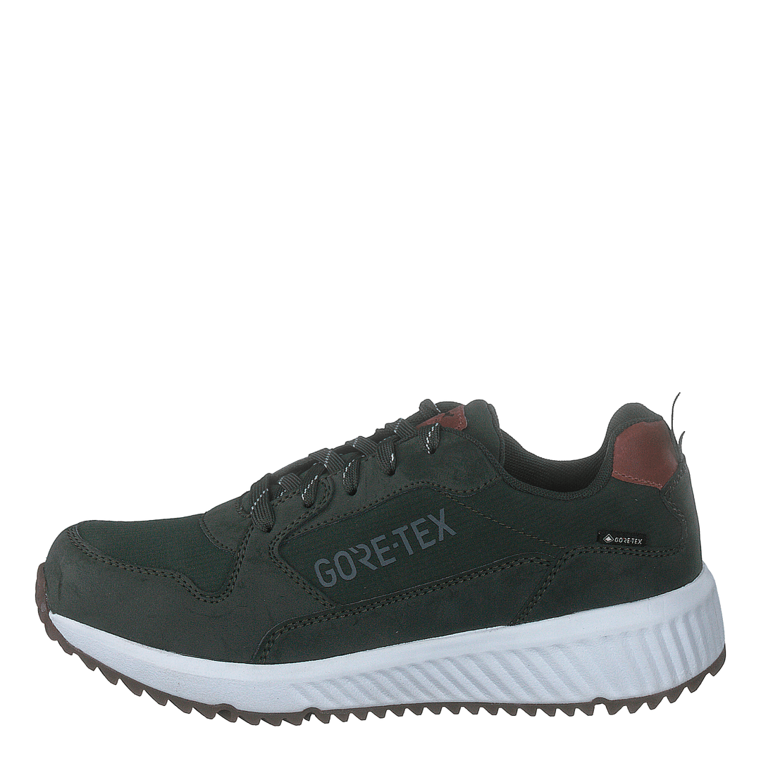 Arena Albertvil Gtx Green