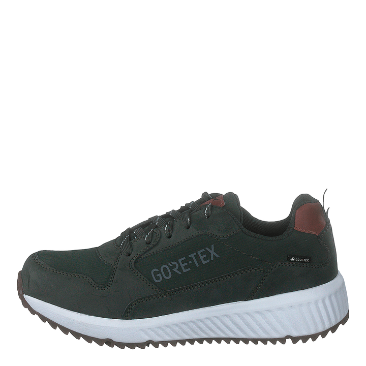 Arena Albertvil Gtx Green