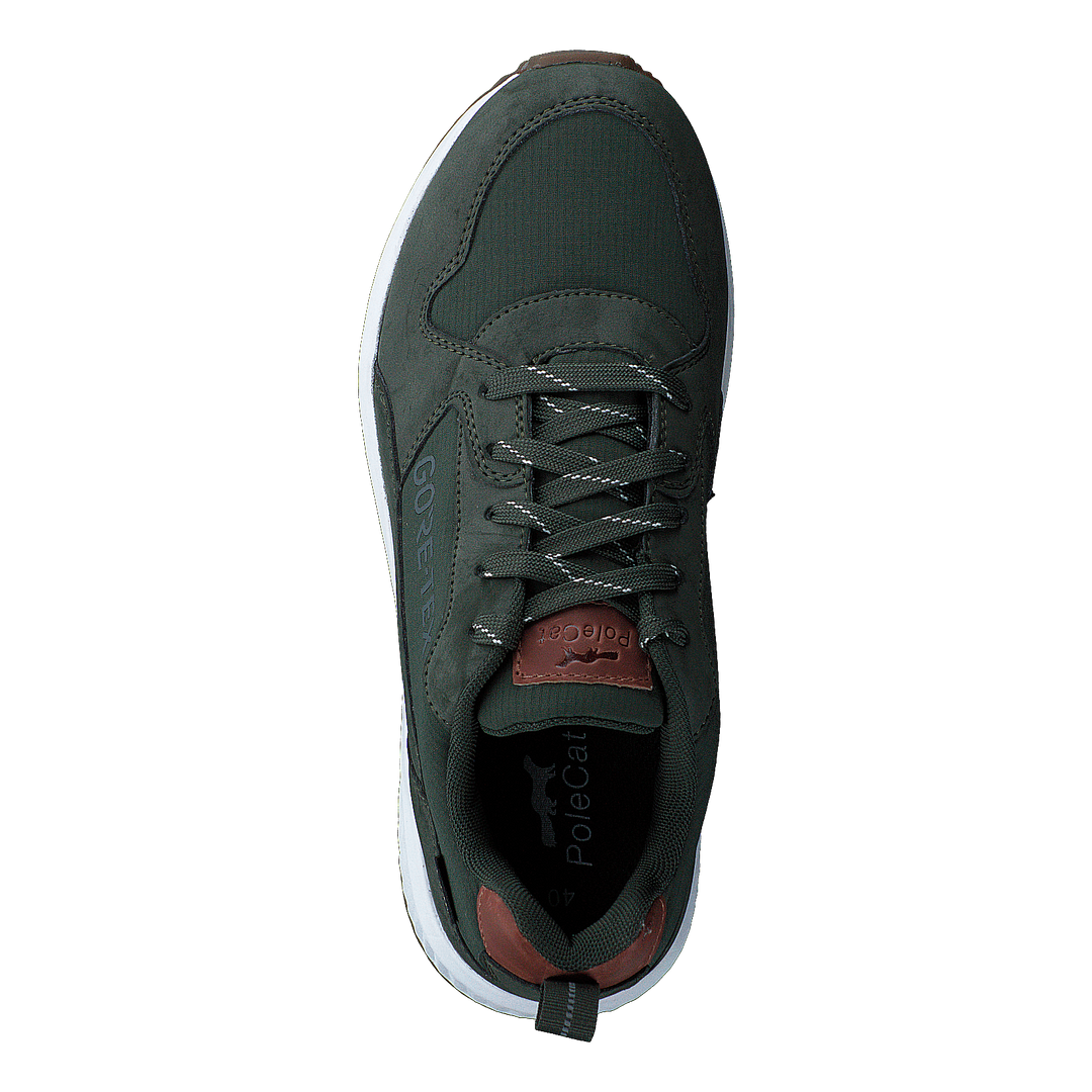 Arena Albertvil Gtx Green