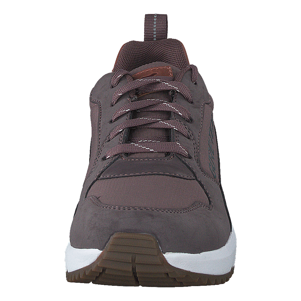 Arena Albertvil Gtx Lavender