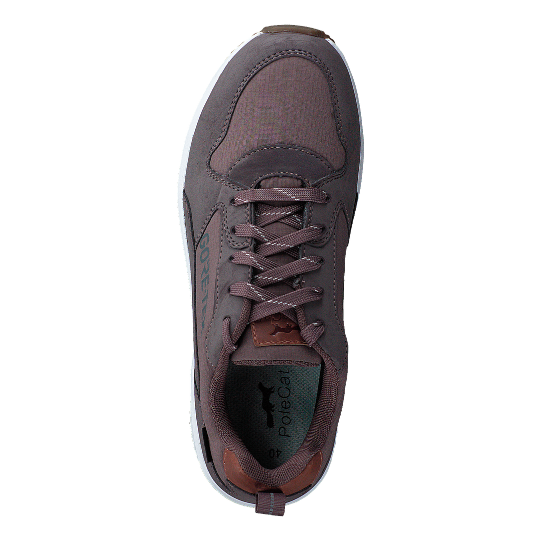 Arena Albertvil Gtx Lavender