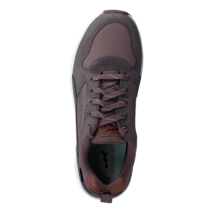 Arena Albertvil Gtx Lavender