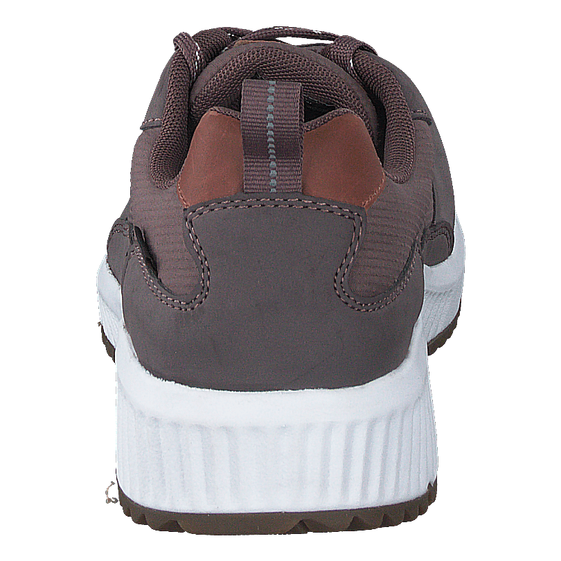 Arena Albertvil Gtx Lavender