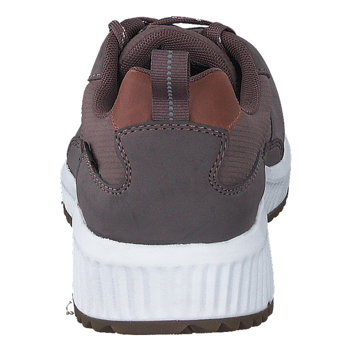 Arena Albertvil Gtx Lavender