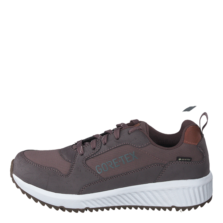 Arena Albertvil Gtx Lavender