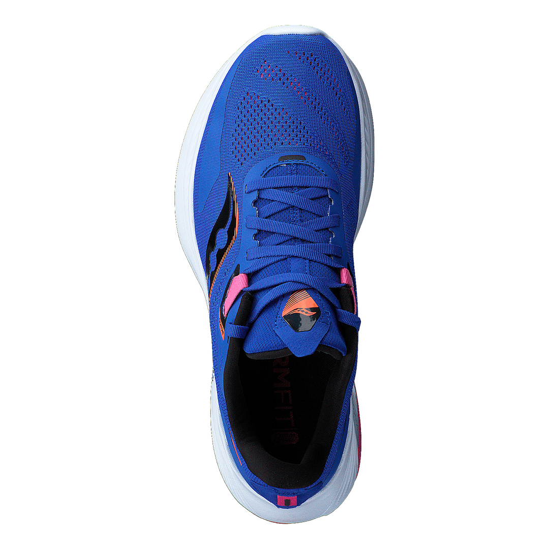 Guide 15 Blue Raz/zest