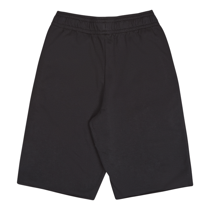 UA RIVAL TERRY SHORT